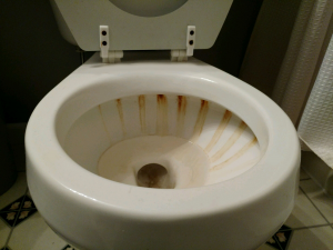 لکه های روی کاسه توالت مانند این ، ناشی از افزایش مقدار آهن در آب چاه خصوصی خانه است.
