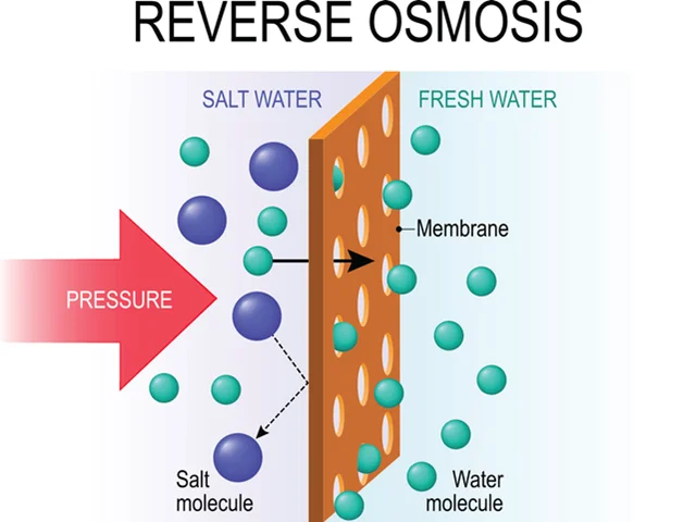 اسمز معکوس چیست؟