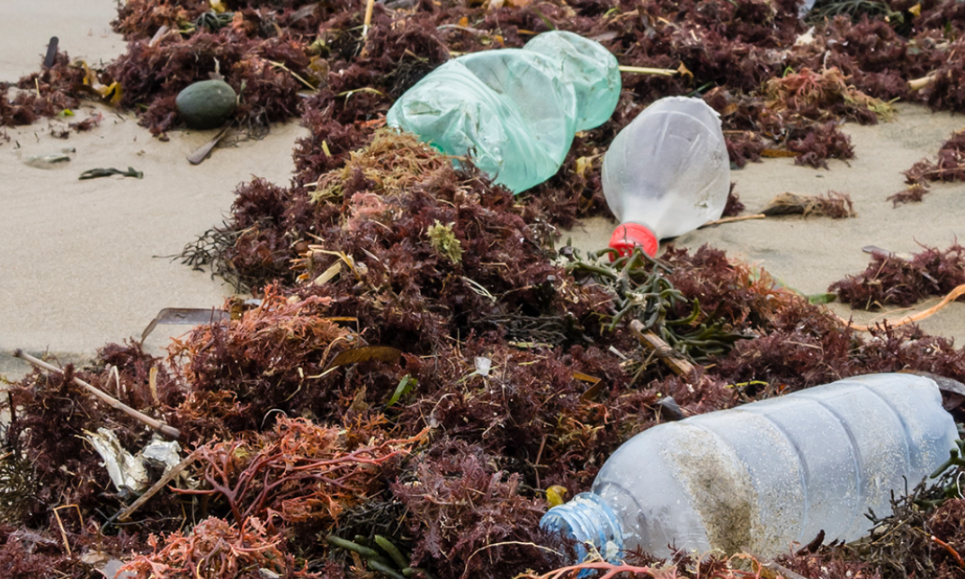 چگونه می توان تأثیر بطری های پلاستیکی را کاهش داد؟